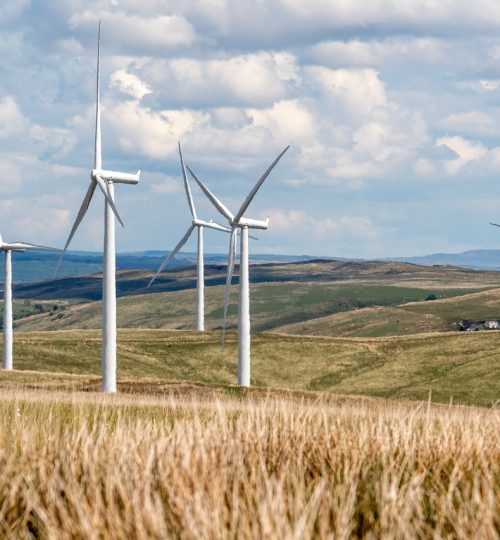 wind-energy-7342177_1280 (1)